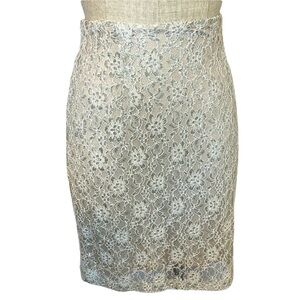 Cremieux Cody Skirt Silver/Taupe Sparkle Lined Midi Length, Lined, Size Medium